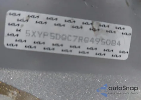 2024 Kia Telluride Sx Prestige X-Line из США, поврежденный, VIN 5XYP5DGC7RG495084